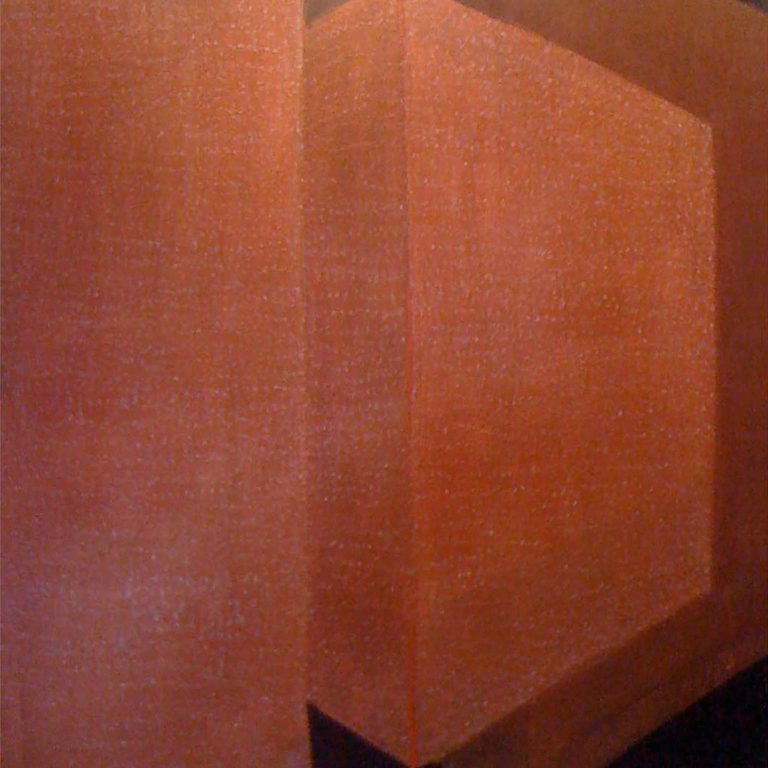 The Blocks in the Tail, 48 x 60 inch, Acrylic on canvas, 2011
